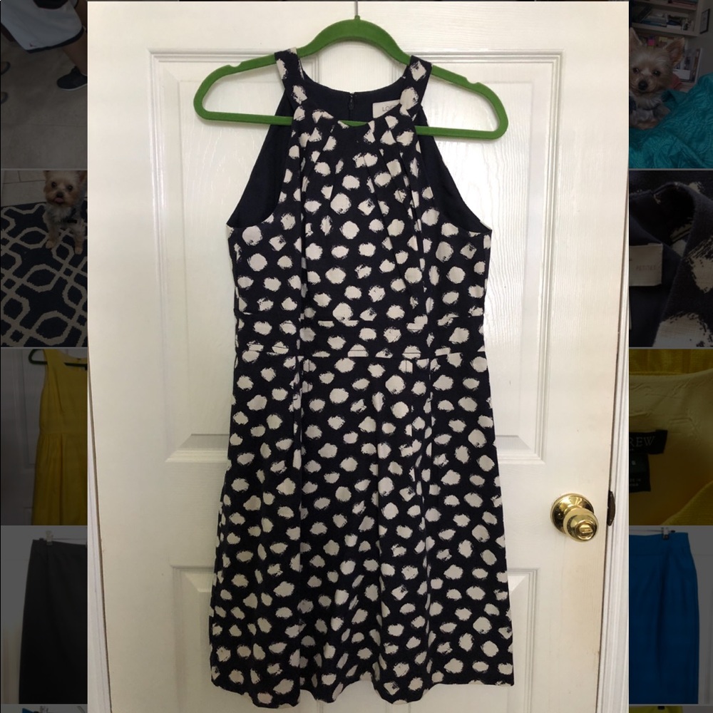 Navy and White Loft Dress
